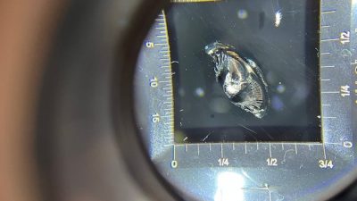 フロントガラス修理