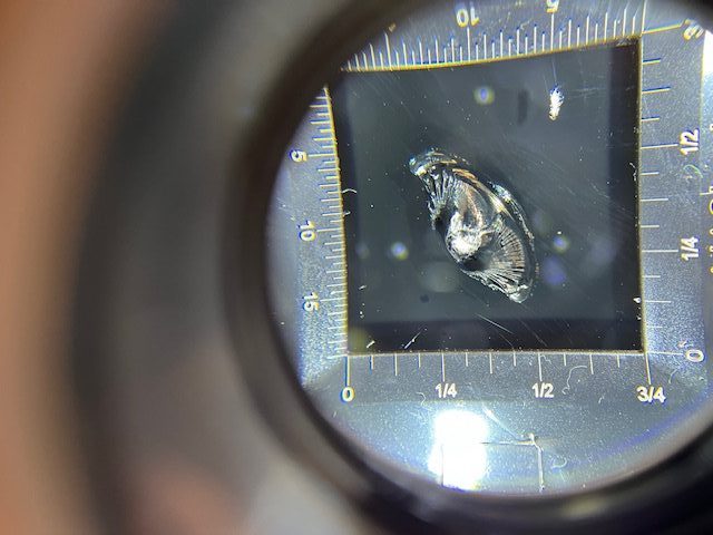 フロントガラス修理